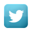 在Twitter上访问我们